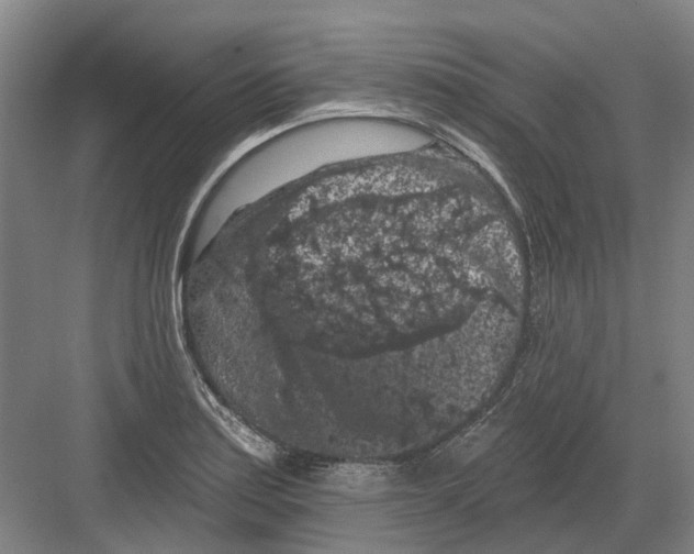 X0000082181179200702162319