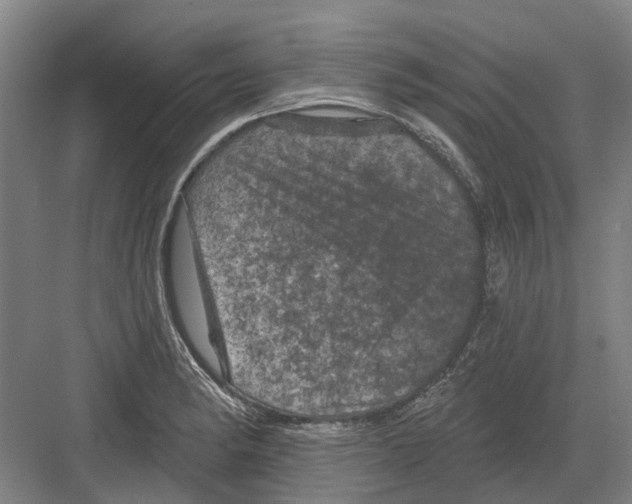 X0000082181182200702162319