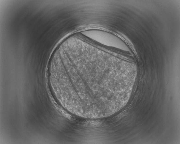 X0000082181190200702162319