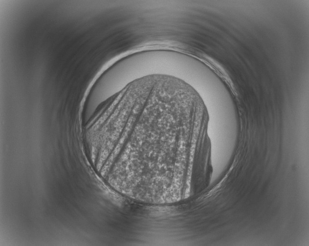X0000082181192200702162319