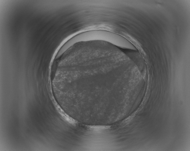 X0000082181200200702162318