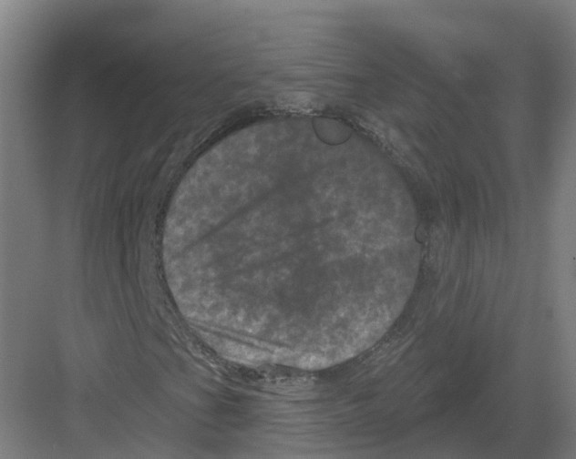 X0000082181201200702162318