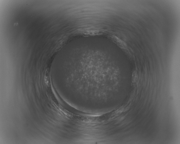 X0000082181202200702162318
