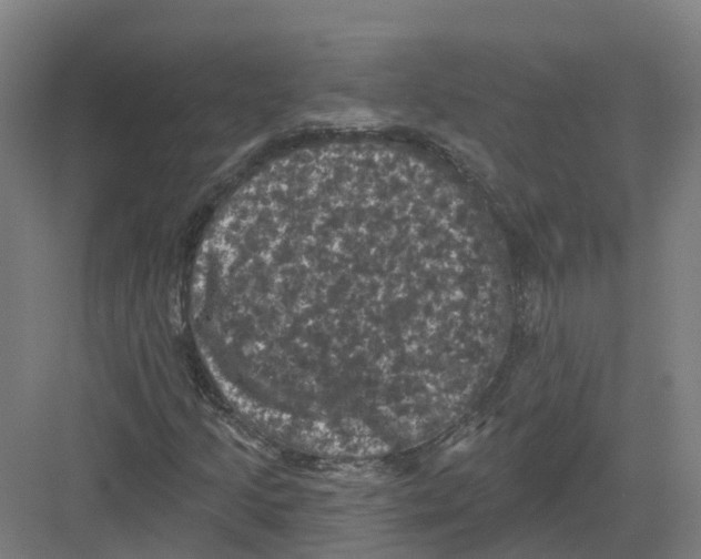 X0000082181205200702162318