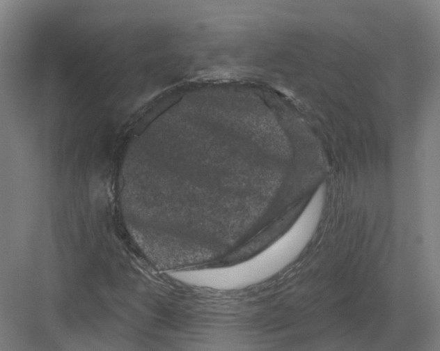 X0000082181206200702162318