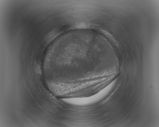 X0000082181209200702162318