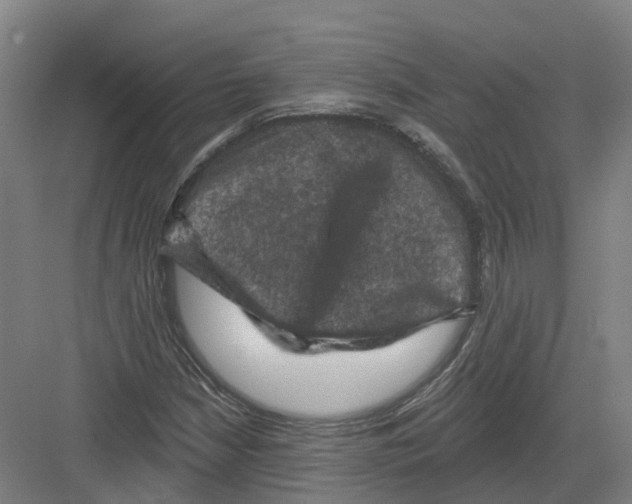 X0000082181210200702162318
