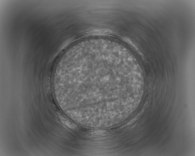 X0000082181211200702162318