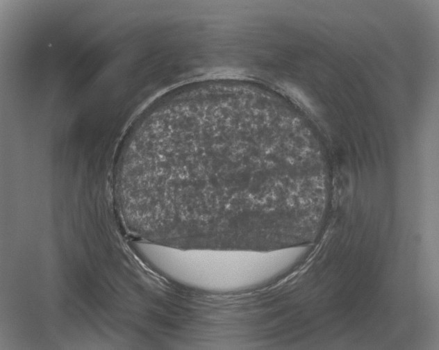 X0000082181212200702162318