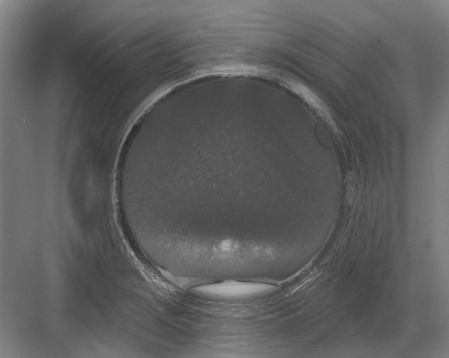 X0000082181229200702162318