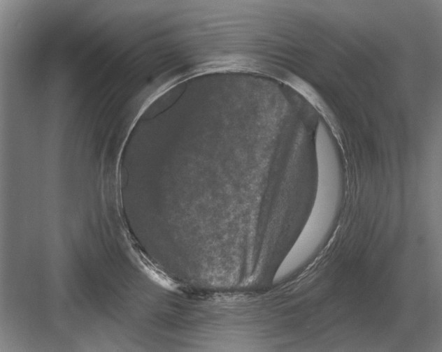 X0000082181242200702162318
