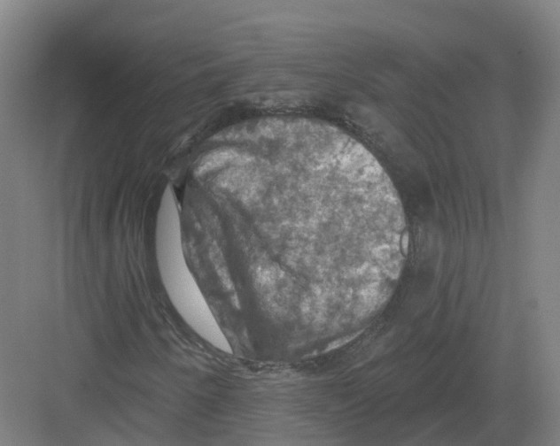 X0000082181250200702162318