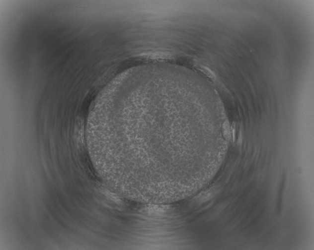 X0000082181251200702162318
