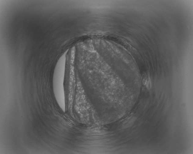 X0000082181252200702162318