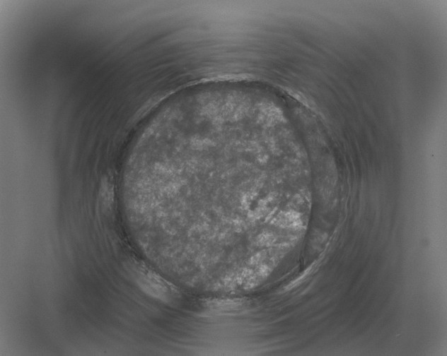 X0000082181257200702162317