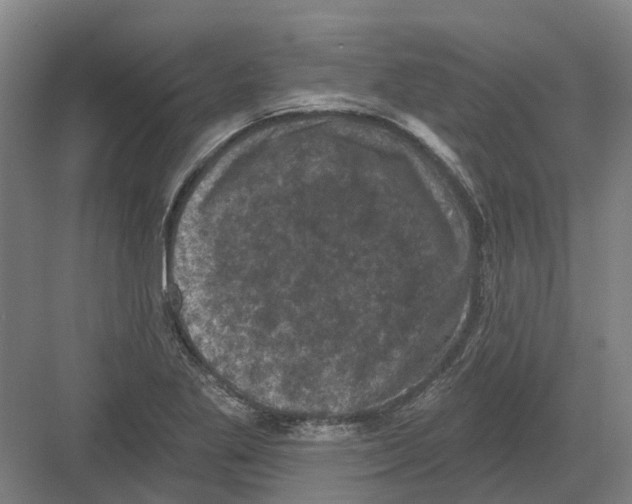 X0000082181269200702162317