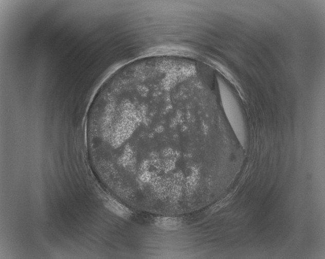 X0000082181275200702162317