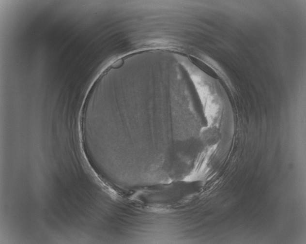 X0000082181291200702162317