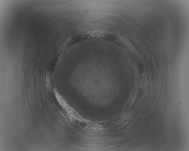 X0000082181298200702162316