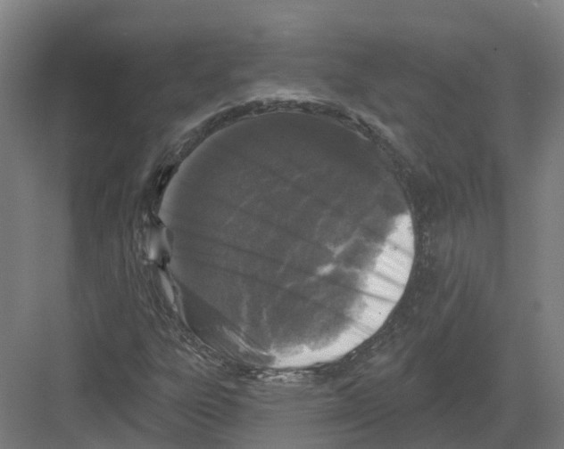 X0000082181303200702162316