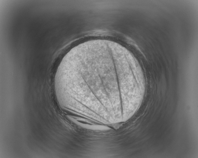 X0000082181304200702162316