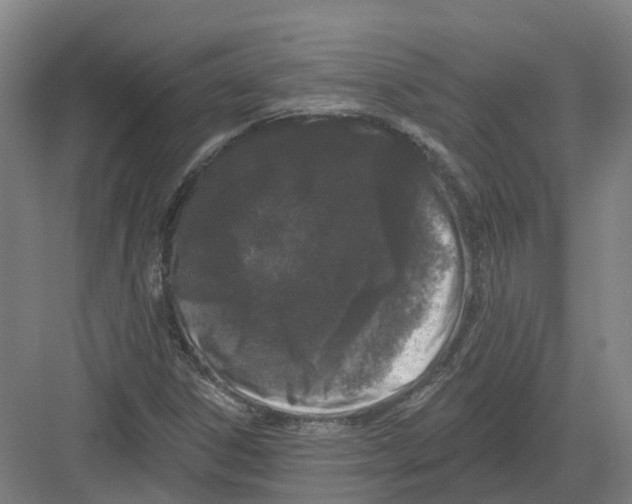 X0000082181306200702162316