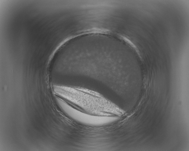 X0000082181310200702162316
