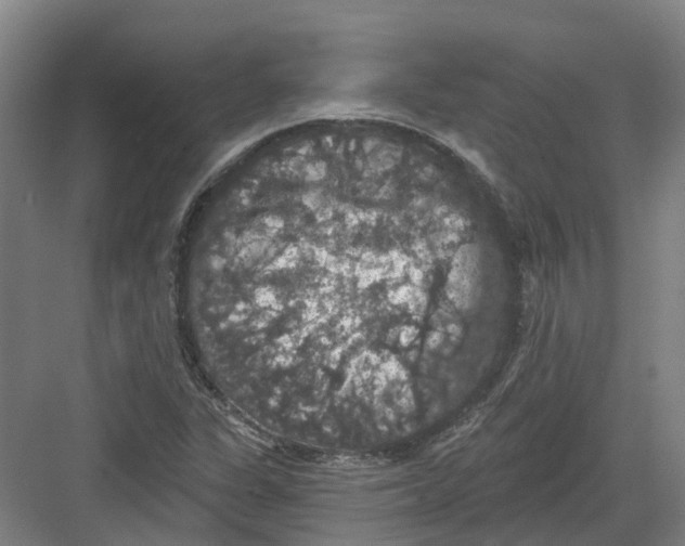 X0000082181311200702162316