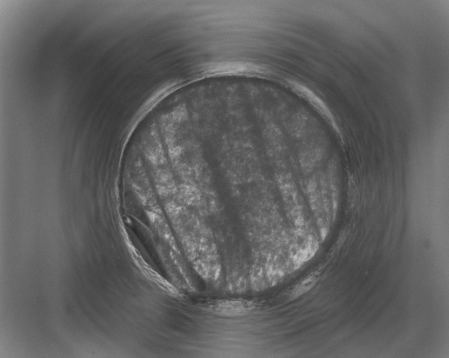 X0000082181330200702162317