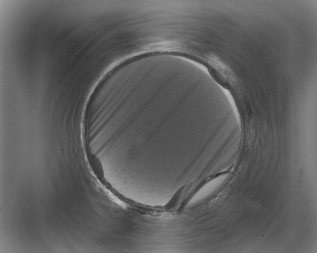 X0000082181334200702162317