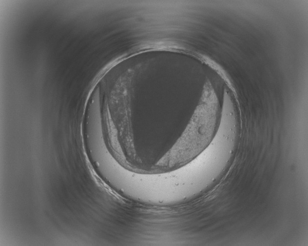 X0000082181338200702162317