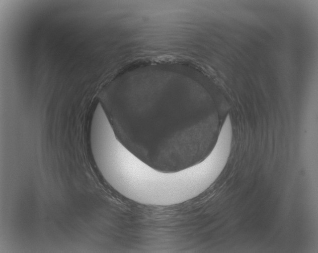 X0000082181345200702162316