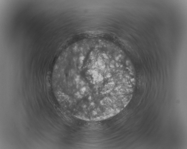 X0000082181346200702162316