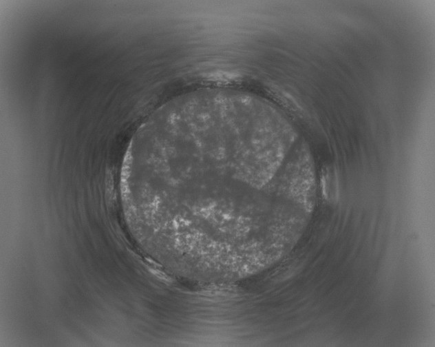 X0000082181347200702162316