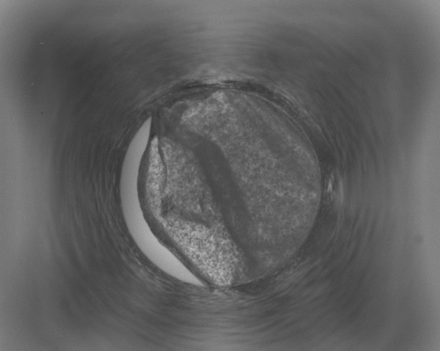 X0000082181348200702162316