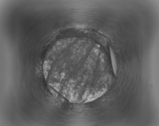 X0000082181349200702162316