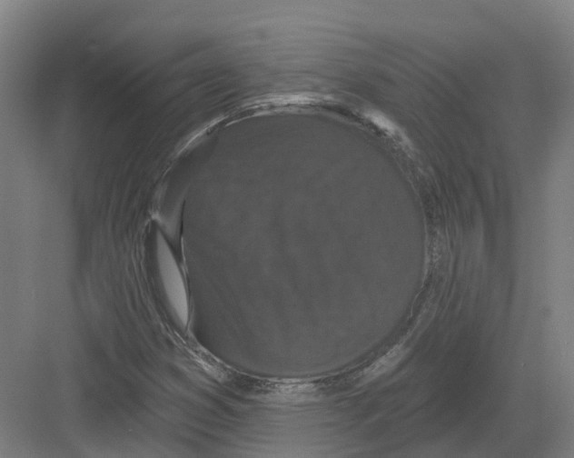 X0000082181353200702162316