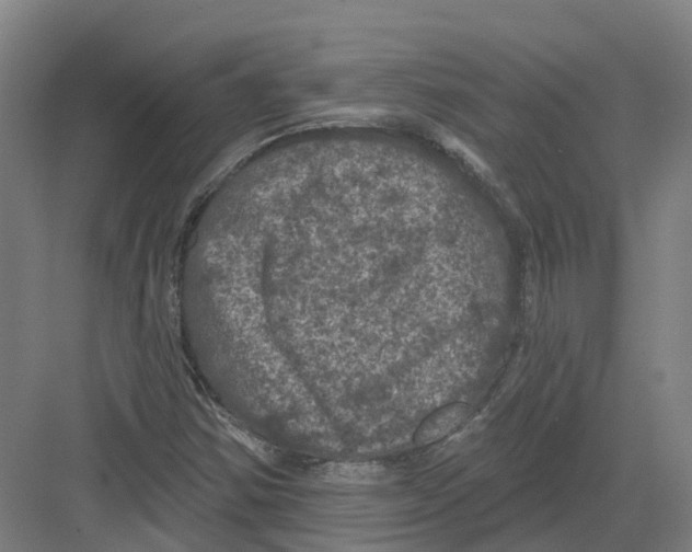 X0000082181354200702162316