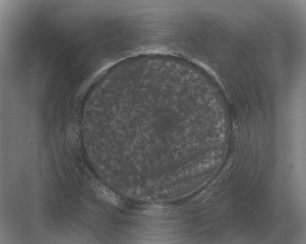 X0000082181359200702162316