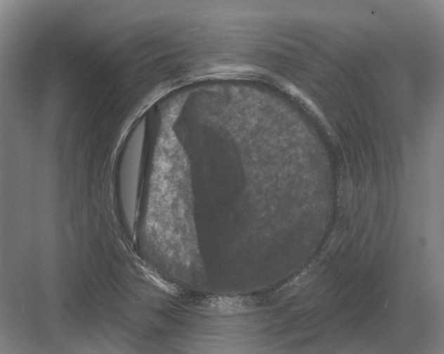 X0000082181362200702162316