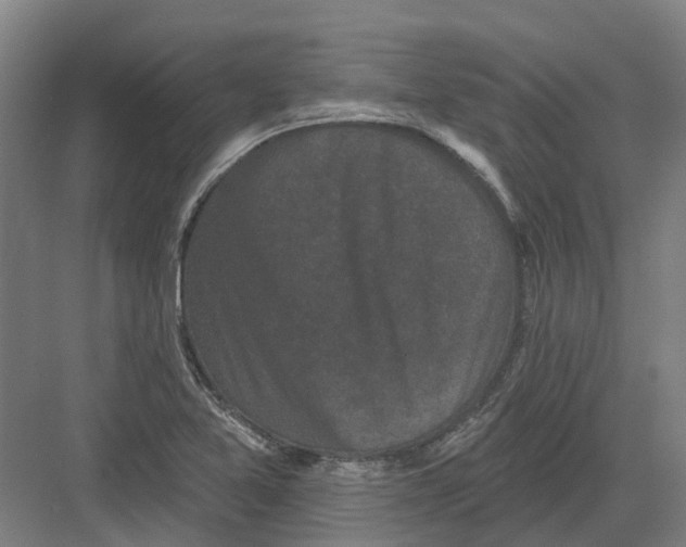 X0000082181365200702162316