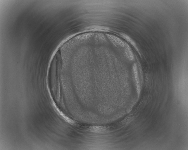 X0000082181379200702162315