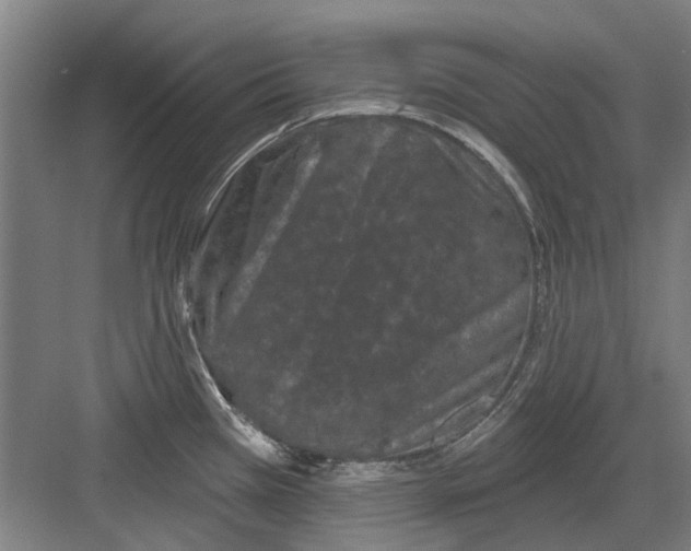 X0000082181385200702162315