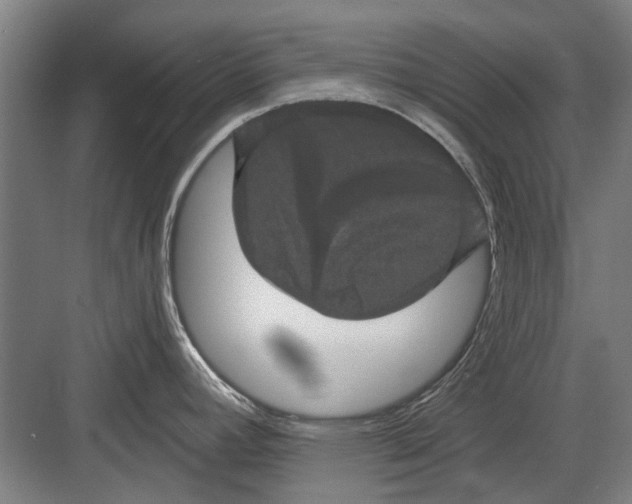 X0000082181392200702162315