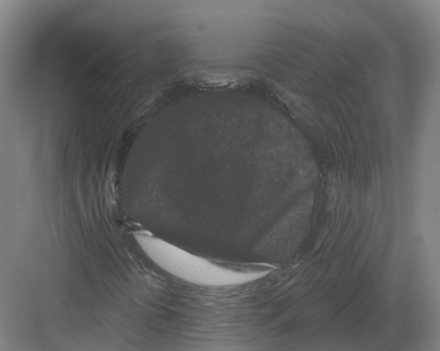 X0000082181394200702162314