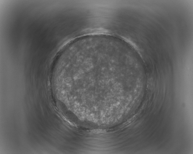 X0000082181407200702162315
