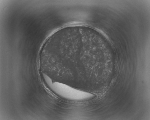 X0000082181413200702162315