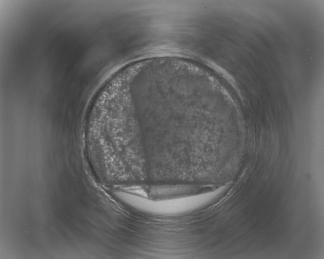 X0000082181415200702162315
