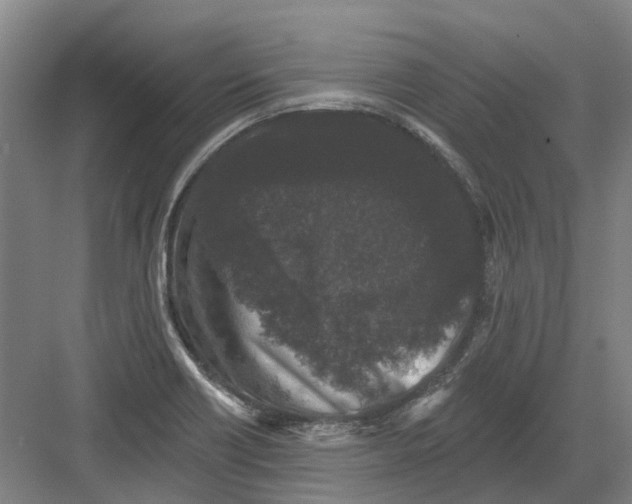 X0000082181418200702162315