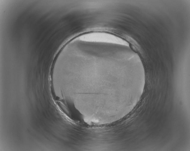 X0000082181428200702162315